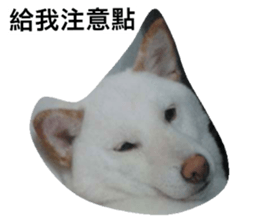 28566703
