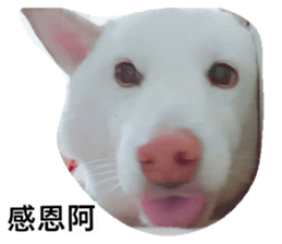 28566706