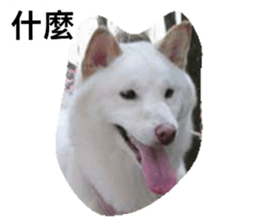 28566709