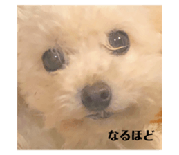 285702527