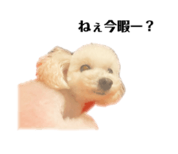 285702533