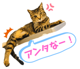 285707382