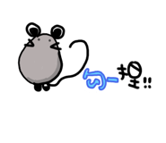 285718243
