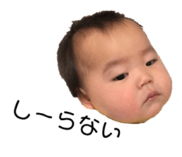 285875260