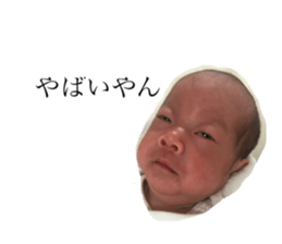 286039373