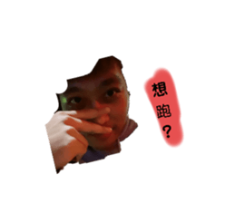 286040329