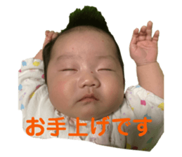 286045673