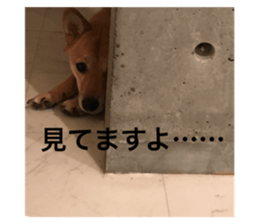 286124220