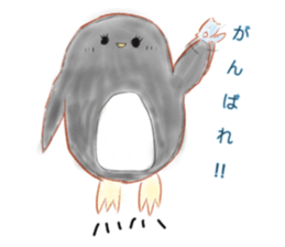 286307050