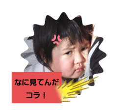 286473837