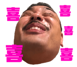 286524501
