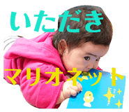 286524733