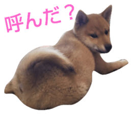 286789322