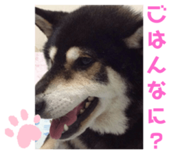286821757
