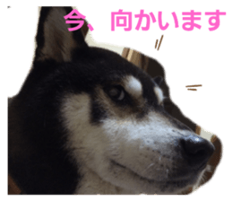 286821777