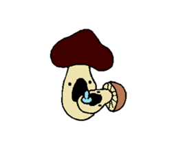 2869626