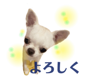 287004425