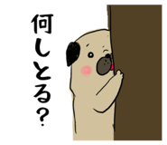 287106458