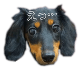 287136815