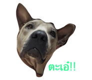28714705