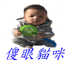 28719813