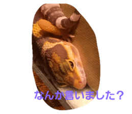 287296090