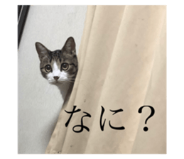287299881