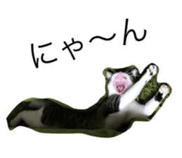 287299890
