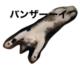 287299892