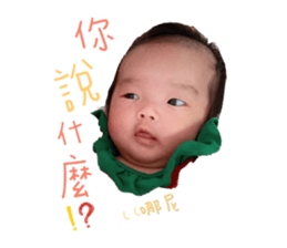 287308559
