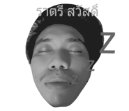 28733916