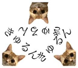 287352776