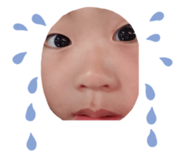 287386570