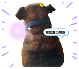 287517011