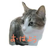 28752626