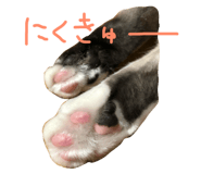28752632