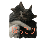 28752634