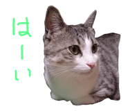 28752637