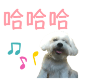 287532966