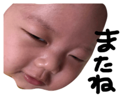 28756904