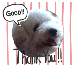 287589859