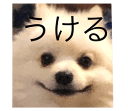 287598747