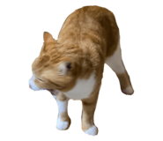 287602123