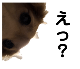 287688247