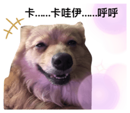 287731451