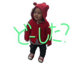 28779812