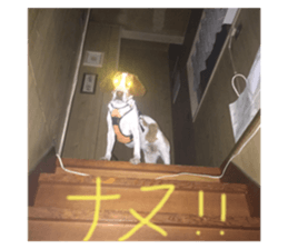 287991913