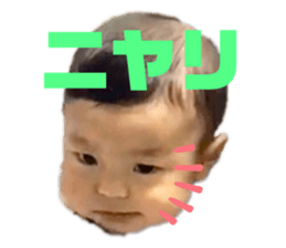 287999590