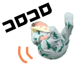 287999599