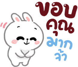 N9: กระต่ายเชียร์ ส่งความสุข รูปที่ 22